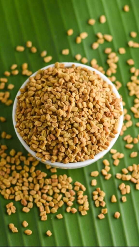 1389855 Fenugreek