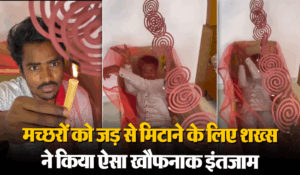 Viral Video: मच्छरों को जड़ से मिटाने चला शख्स, सुकून की नींद पाने के लिए किया खौफनाक इंतजाम
