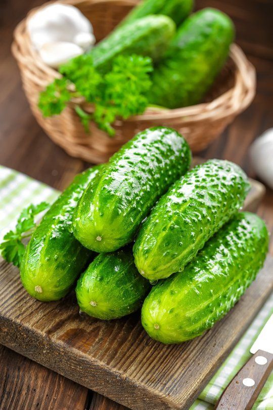 1390065 cucumber
