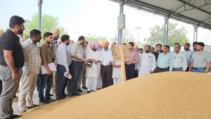 पंजाब सरकार फसल का एक-एक दाना खरीदेगी: हरचंद सिंह बर्स्ट