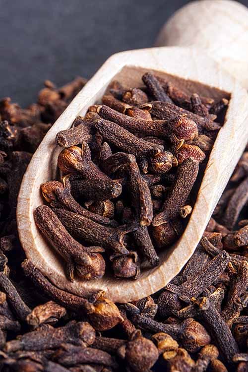 1392097 Cloves
