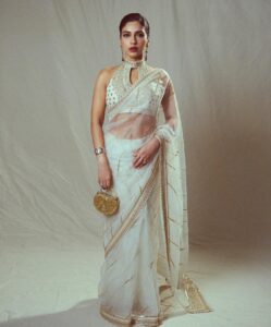 Stylish Blouse Designs For Plain Saree: त्योहारों पर प्लेन साड़ी के साथ करें ये 6 सुपर ट्रेंडी ब्लाउज डिजाइन ट्राई