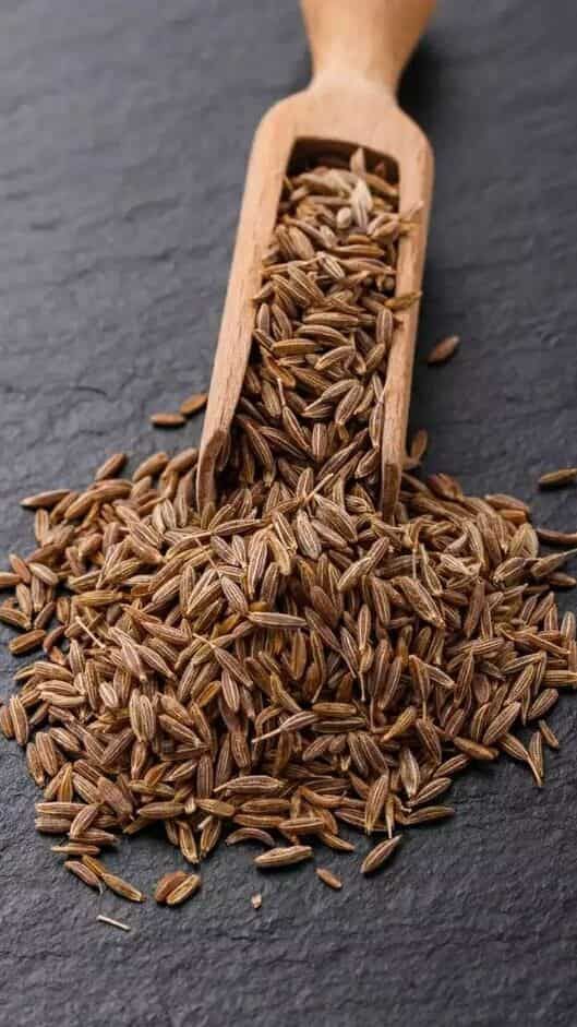 1392624 cumin seeds
