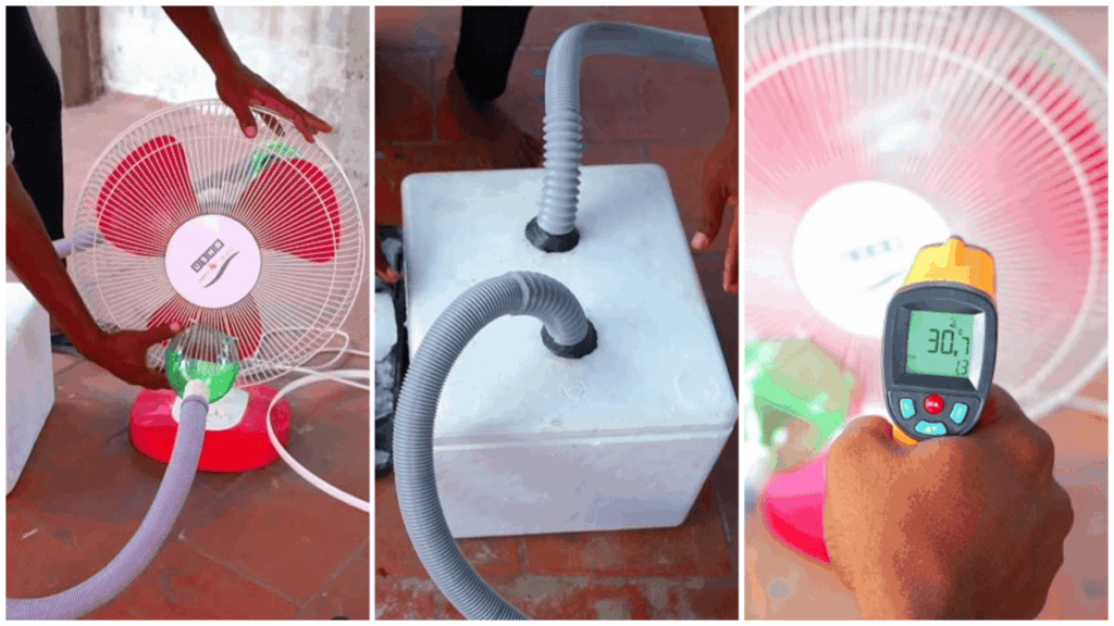 1393069 photo collage.png 1 1