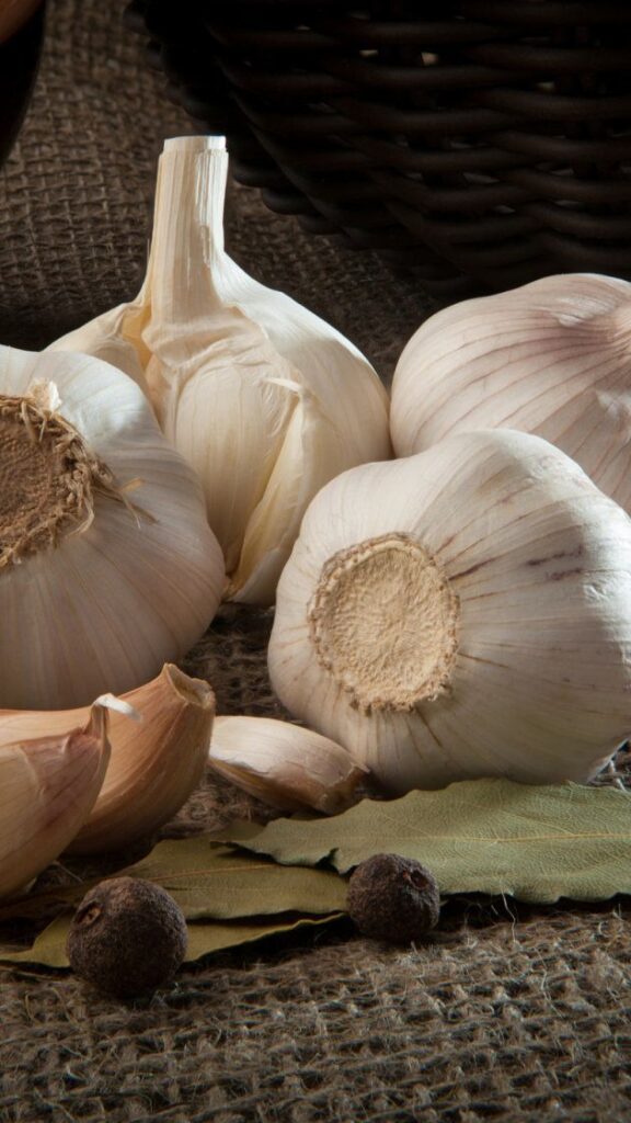 1393139 garlic
