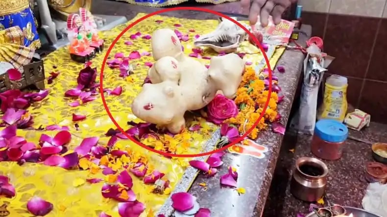 1393203 Strange Potato found in Sambhal
