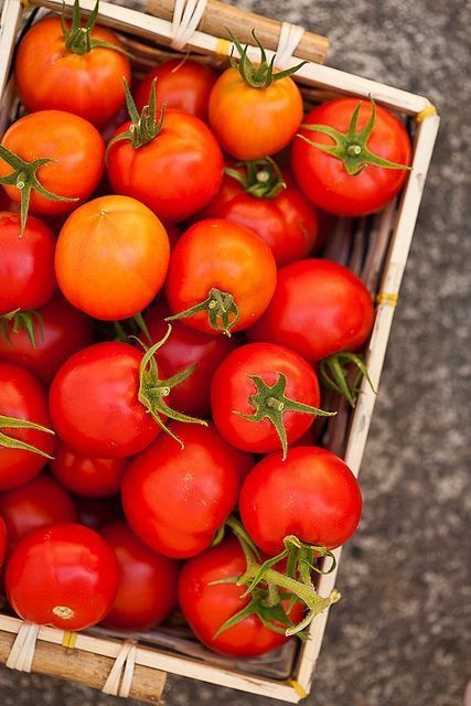 1393803 Tomatoes 2