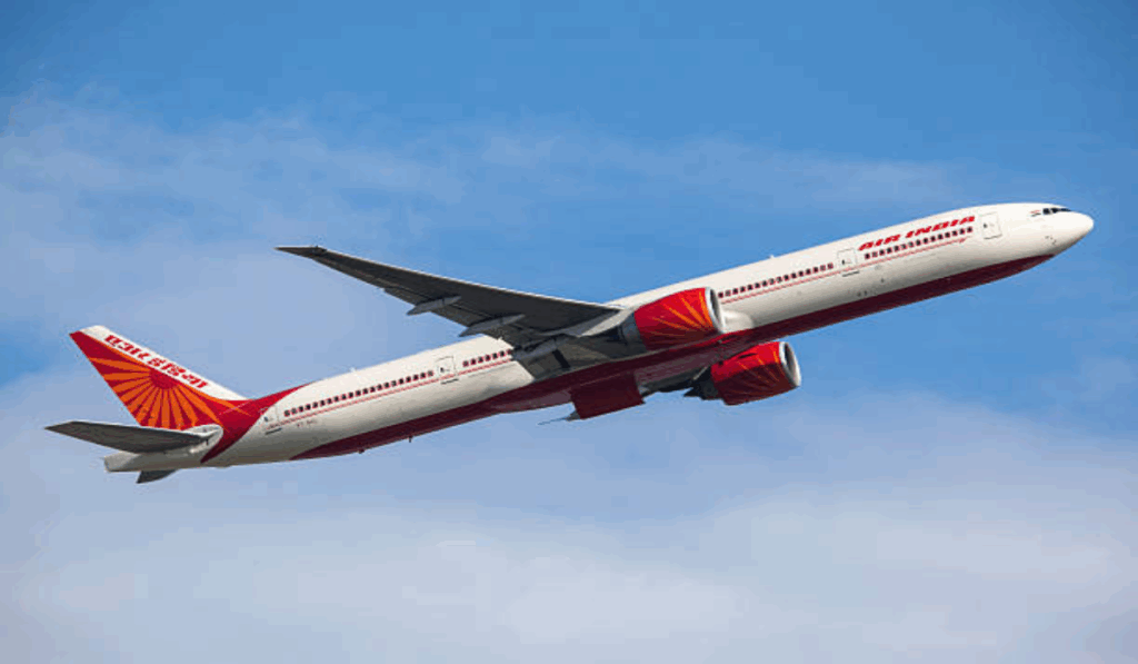 1393821 Indian Flight