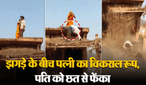 Viral Video: खतरे में है पुरुष समाज..झगड़े में पत्नी ने पति को छत से फेंका, वीडियो देख दंग रह जाएंगे
