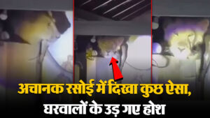 Viral Video: अचानक रसोई में हुआ कुछ ऐसा कि घरवालों के उड़ गए होश, देखें वीडियो