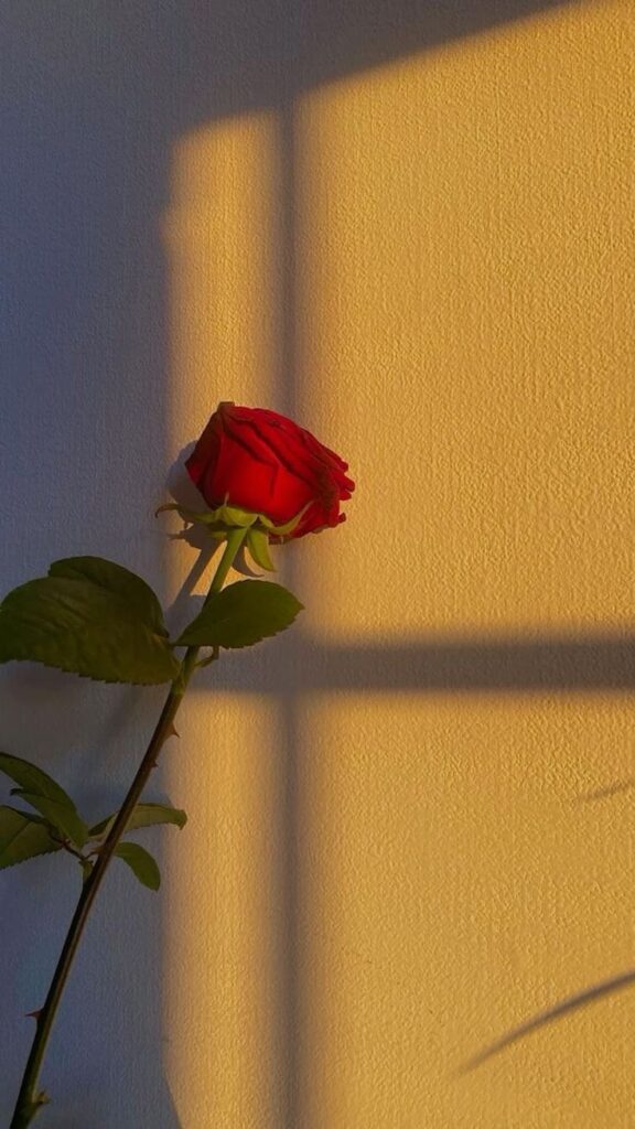 1394671 Aesthetic flowers wallpaper