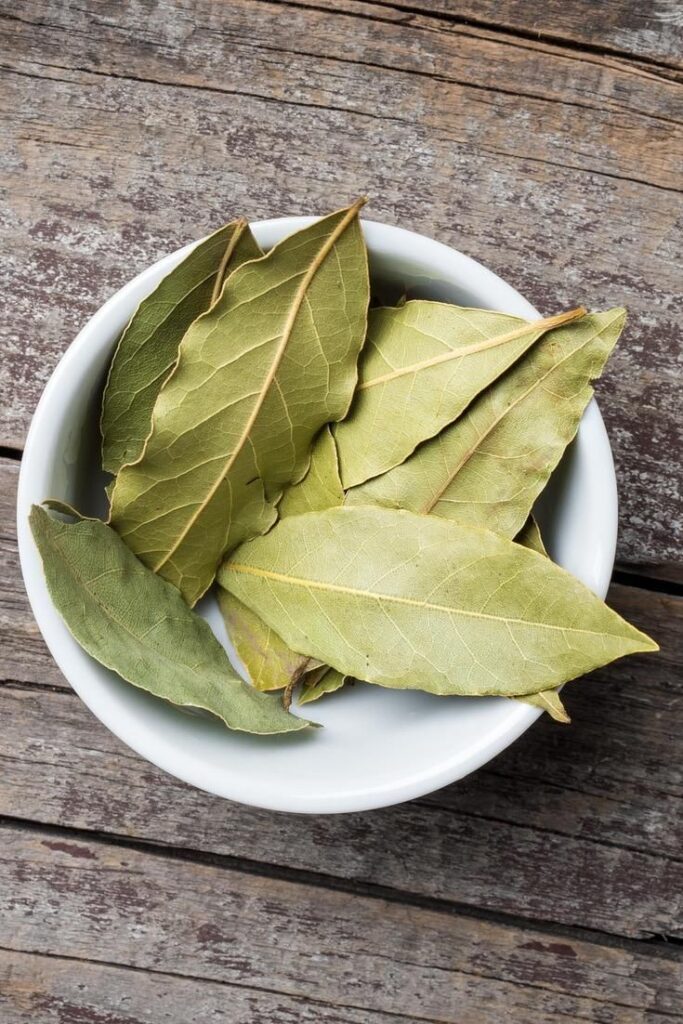 1395371 bay leaf