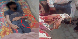 मेरठ में ड्रम नहीं सांप वाला ट्विस्ट, पत्नी ने प्रेमी के साथ मिलकर पति को उतारा मौत की घाट