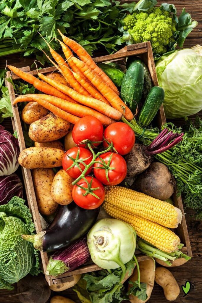 1396364 vegetables