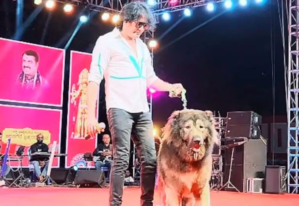 1396428 DOG