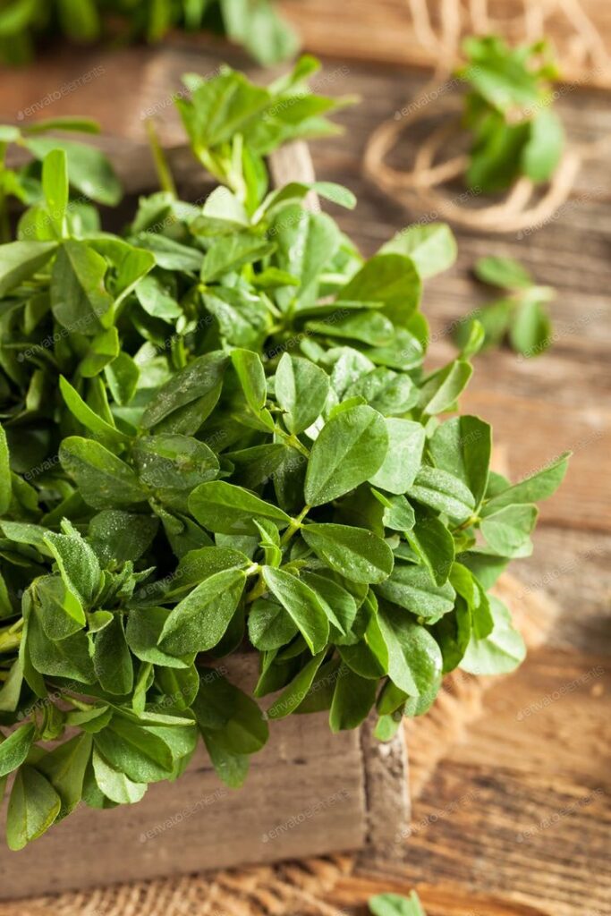 1396639 Raw Organic Fenugreek Methi Leaves