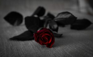 Hindi Poetry: अर्ज किया है! “तेरा मिलना ख़ुशी…” शायरी की दुनिया से 8 चुनिंदा शेर