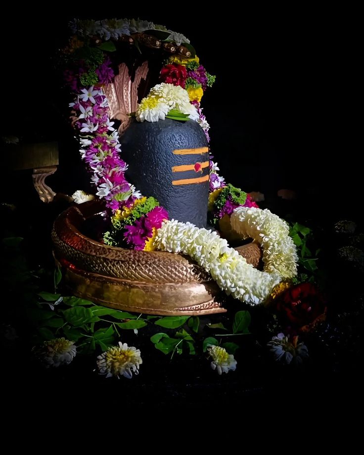 1397021 mahadev bholenath