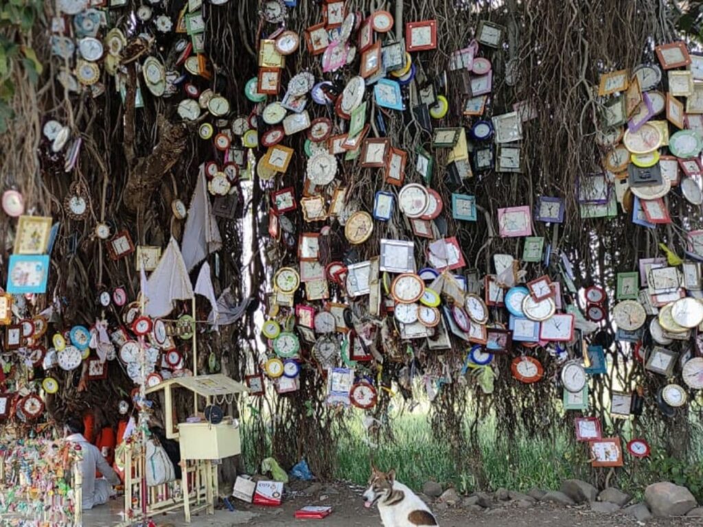 1397039 ghadi wale baba tree