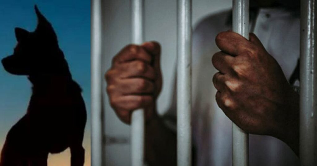 1397379 Wak Shimalung Para dog killing case