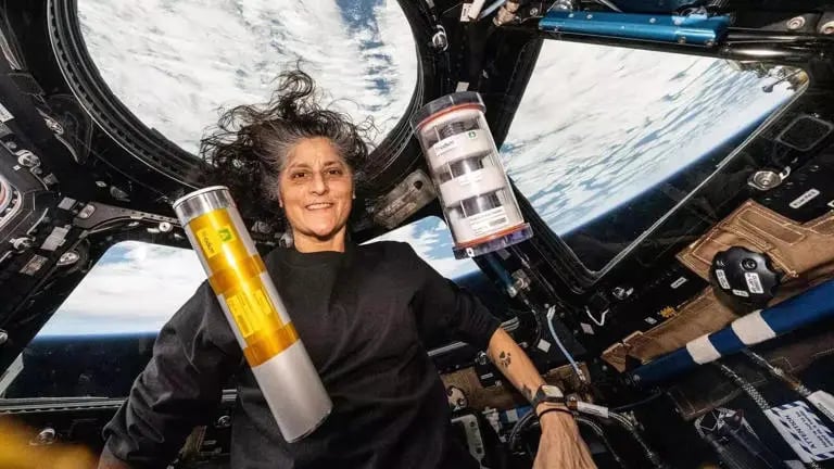 1397694 Sunita Williams