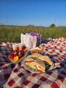 Picnic Snacks: फैमिली पिकनिक के लिए आसान और स्वादिष्ट स्नैक्स