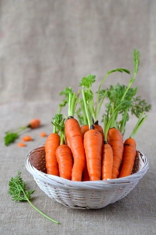 1397946 Carrots