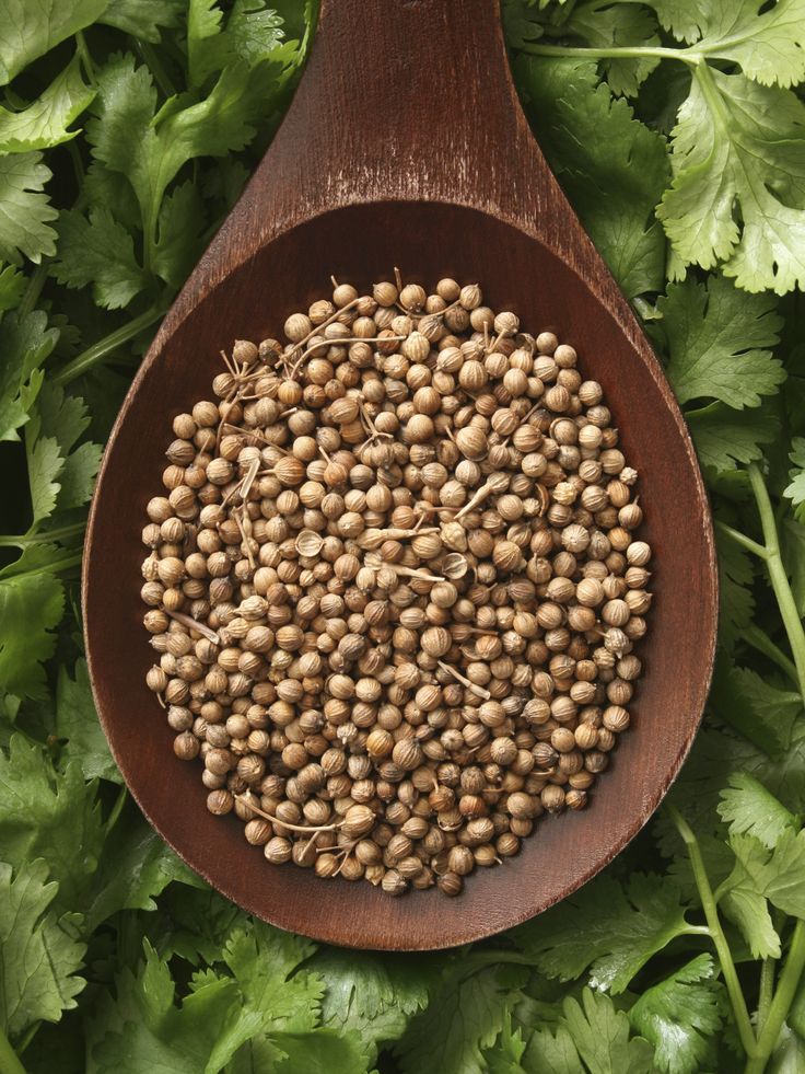 1398041 Coriander Seeds