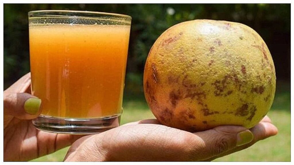 1398531 bel ka juice