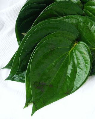 1398631 betel leaf