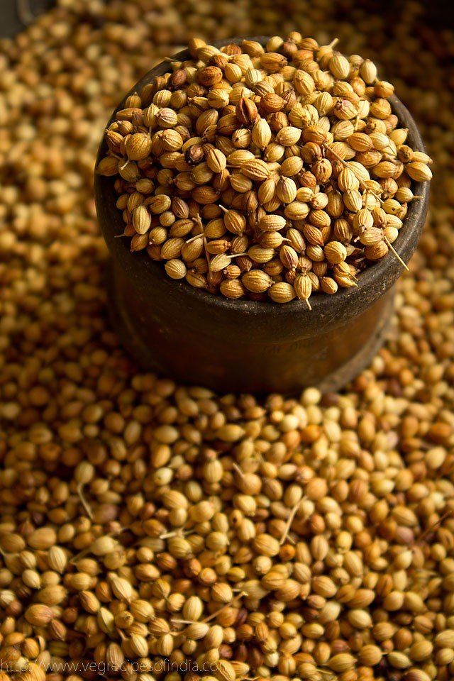 1399030 Coriander seeds