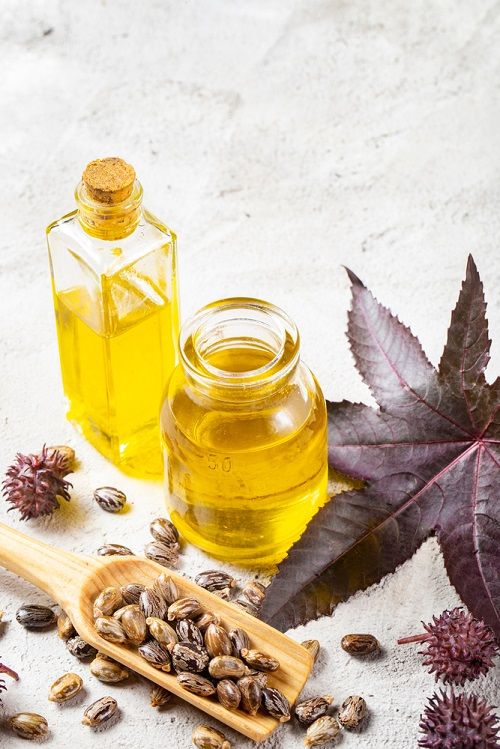 1399045 Castor Oil