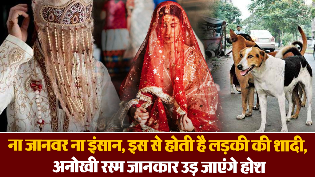 1399050 artical 7