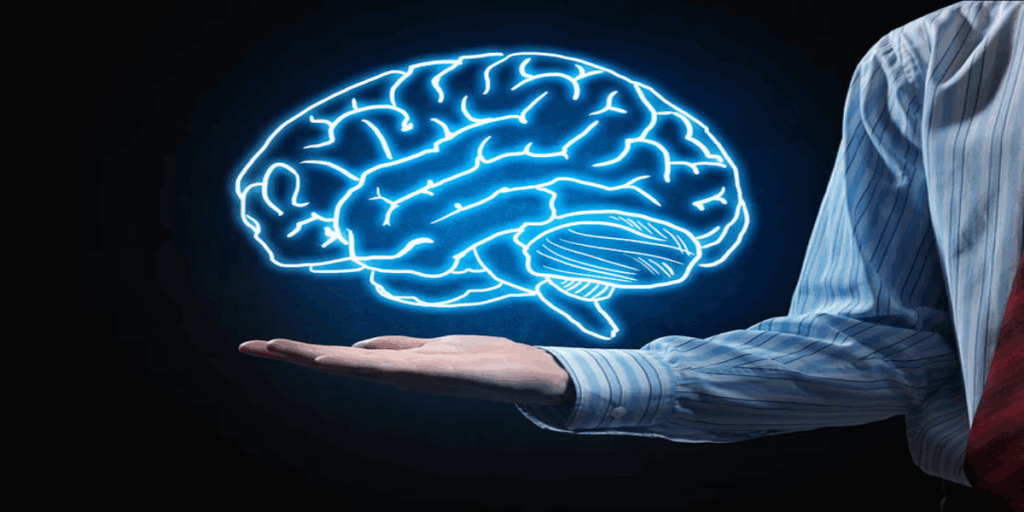 1399631 brain