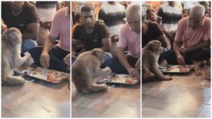 Viral Video: ये तो चमत्कार हो गया ! हनुमान जी के भंडारे में पहुंचे ‘बजरंग बली’, लगाया भोग