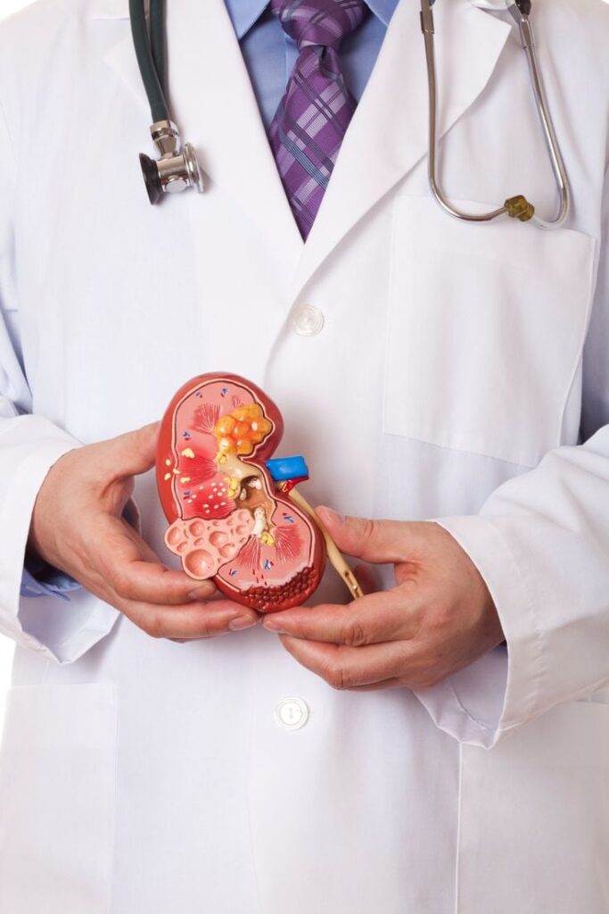 1400128 Lifestyle Tips For Maintaining Kidney Health