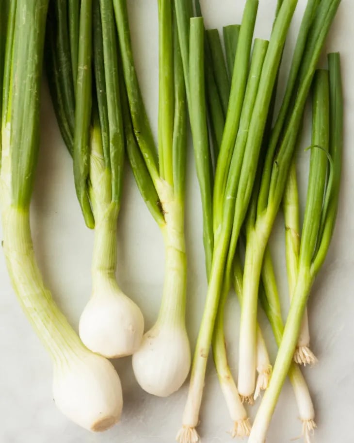 1401728 Onion