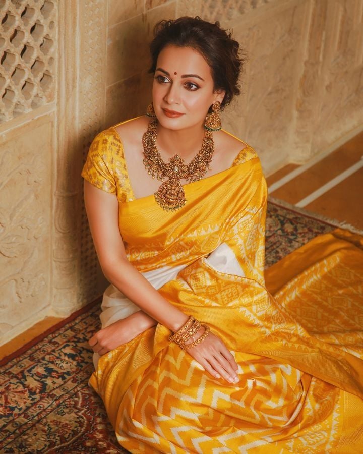 1402062 Dia Mirza 6
