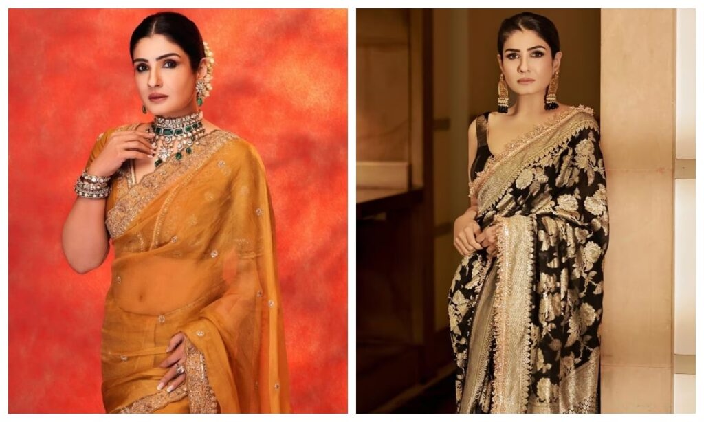 1402570 raveena tandon blouse