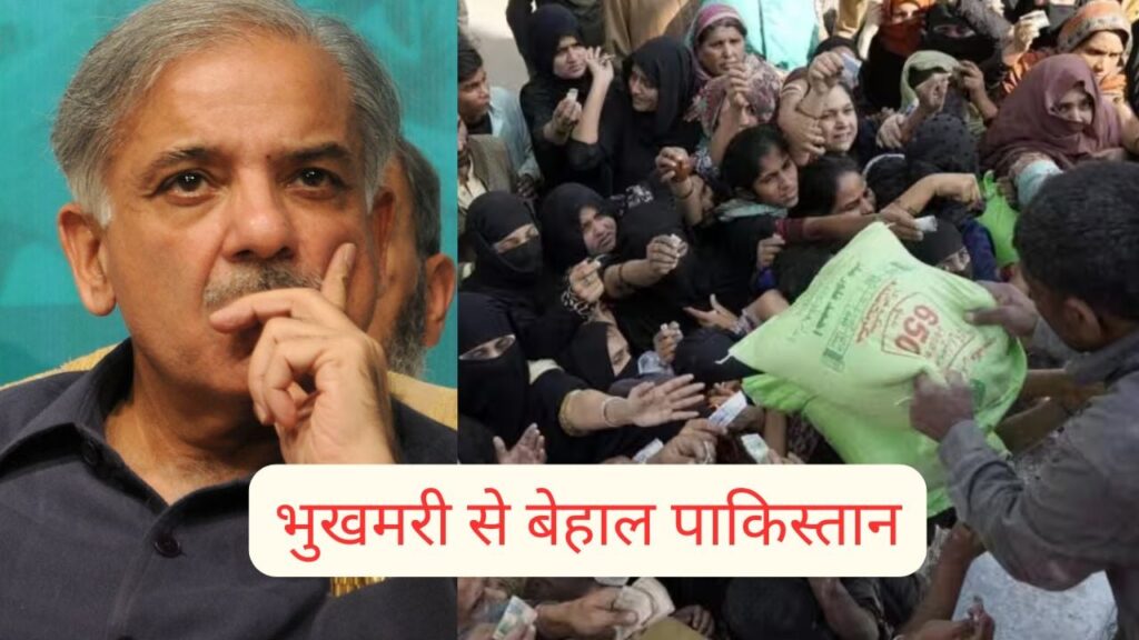 1402595 Arjunpk2019