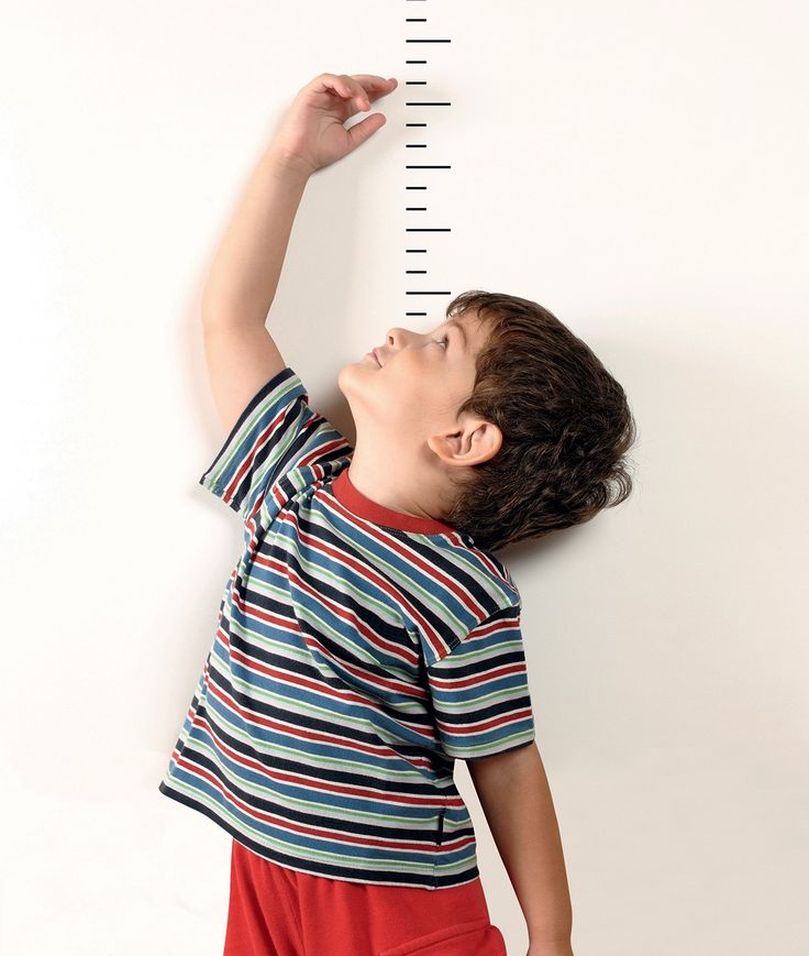 1402804 height