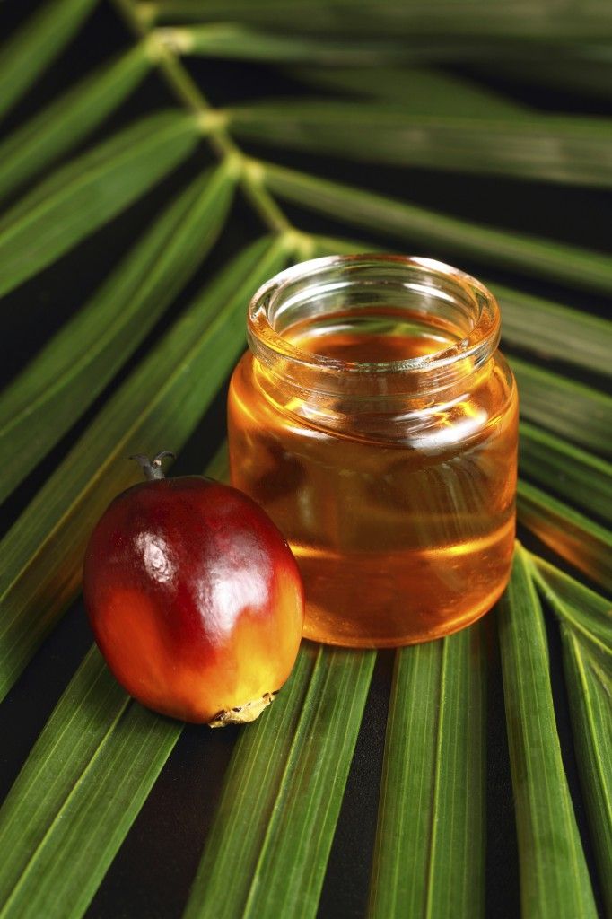 1403191 palm oil