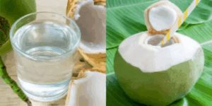 गर्मी में नारियल पानी ‘अमृत’ समान, रोजाना पीने से मिलते हैं ये फायदे
