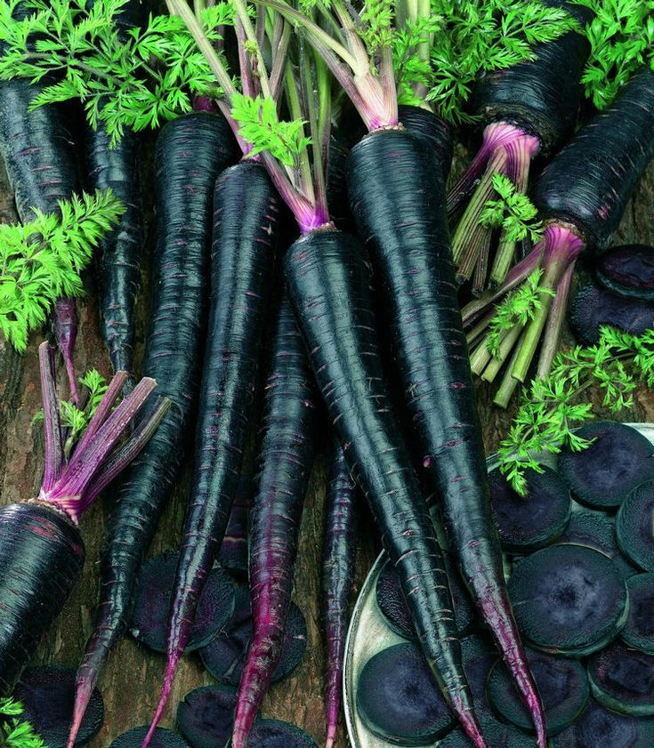 1403407 Black Carrots. 1