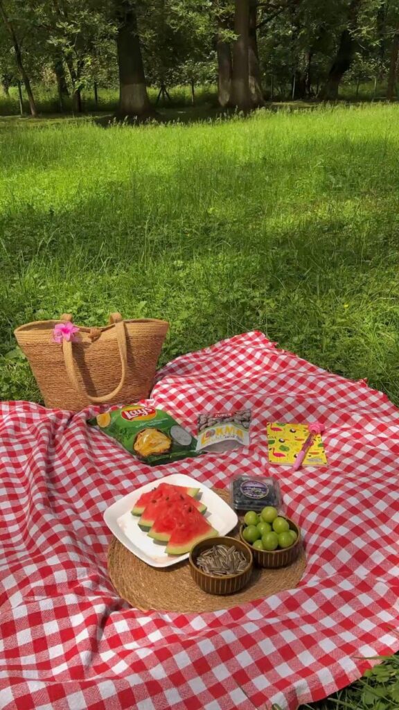1403414 picnic places