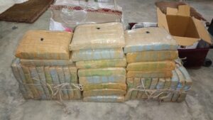 Agra: बड़े ड्रग रैकेट का भंडाफोड़, 1.5 करोड़ रुपये का गांजा जब्त, तीन गिरफ्तार