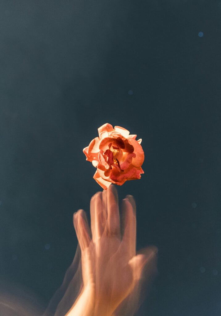 1403789 pexels evie shaffer 1259279 2512388