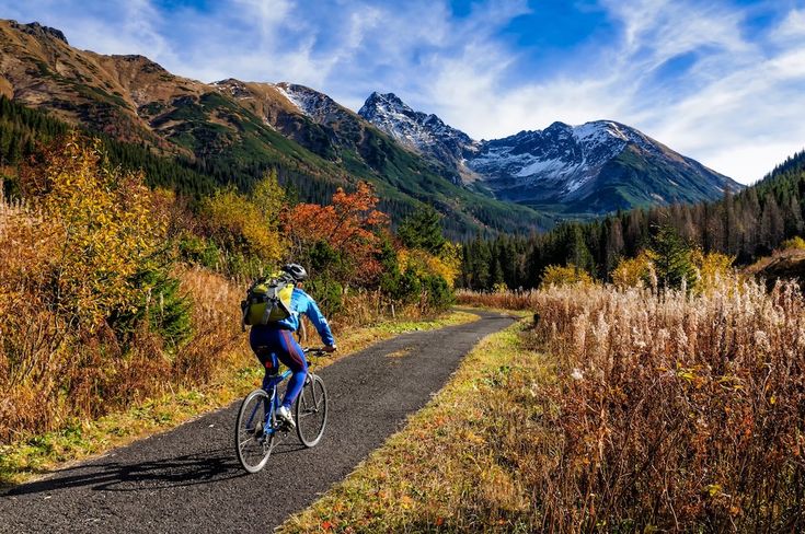 1403910 Cycling Routes