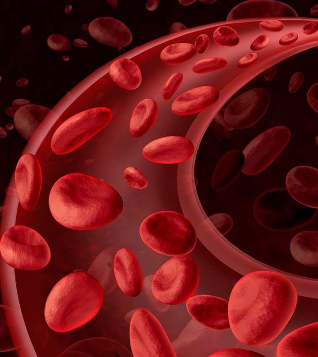 1404274 13 Effective Foods To Improve Blood Circulation In The Body