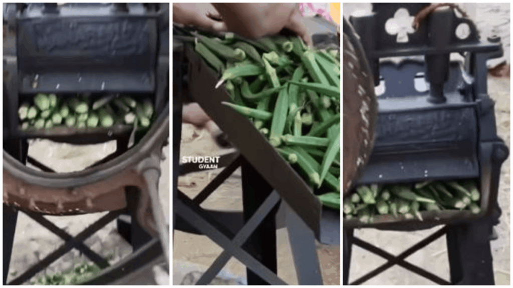 1404687 photo collage.png 5 1